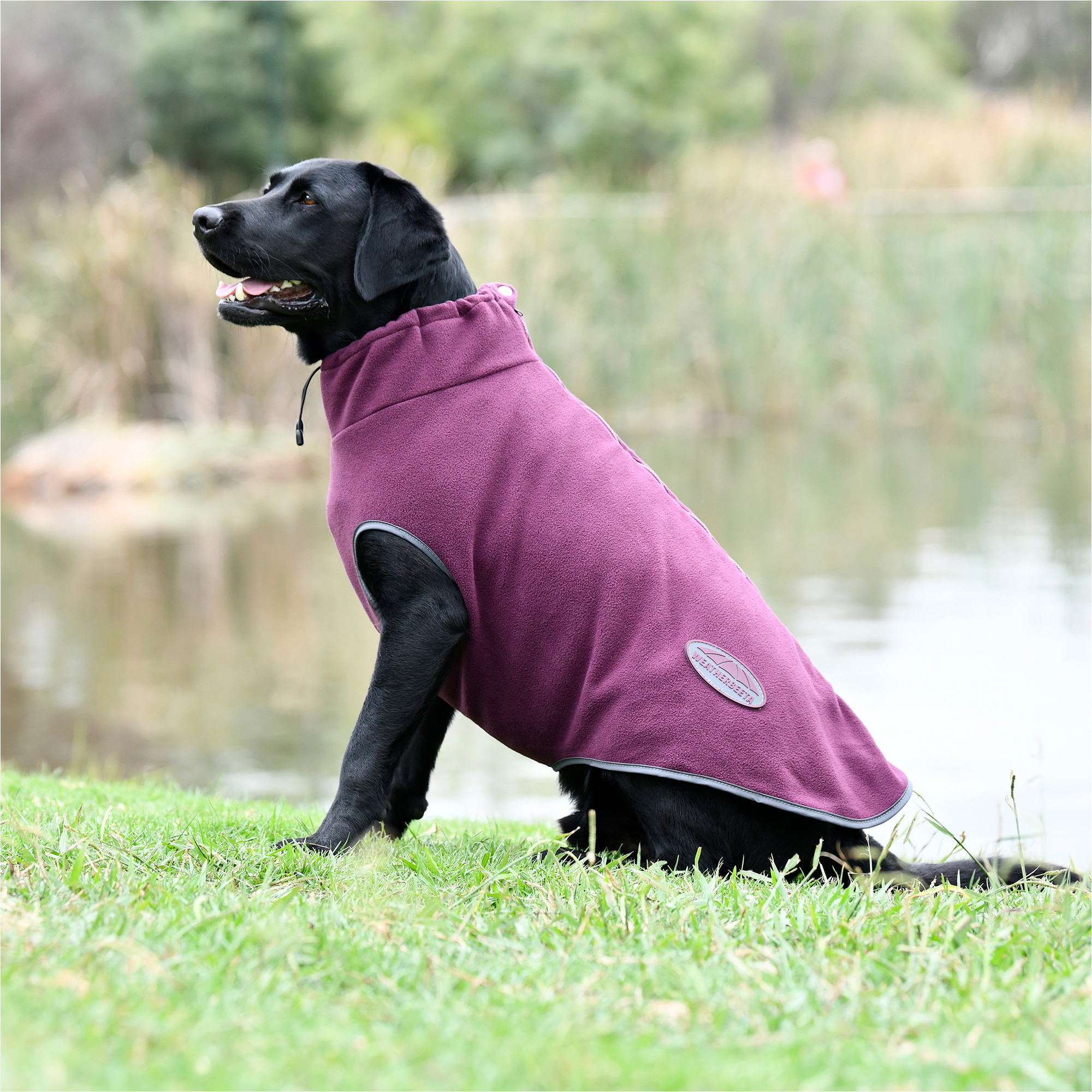Weatherbeeta Comfitec Fleece Zip Hund Mantel 1003457 - Maroon / Grey